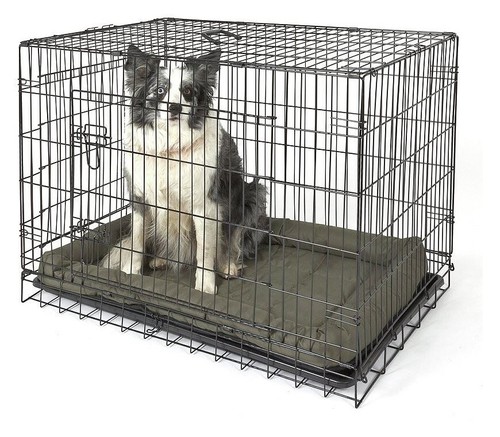 Double door dog - double,