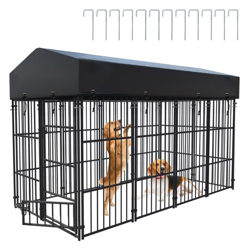 Walk dog cage - in, pet