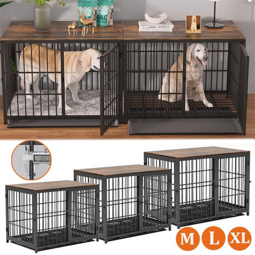 Bingo paw dog - bingo, crate